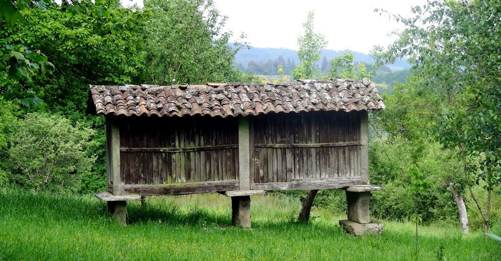 Grainerie traditionnelle en sortant de Palas de Rei (Galicia) by Peregrino2013