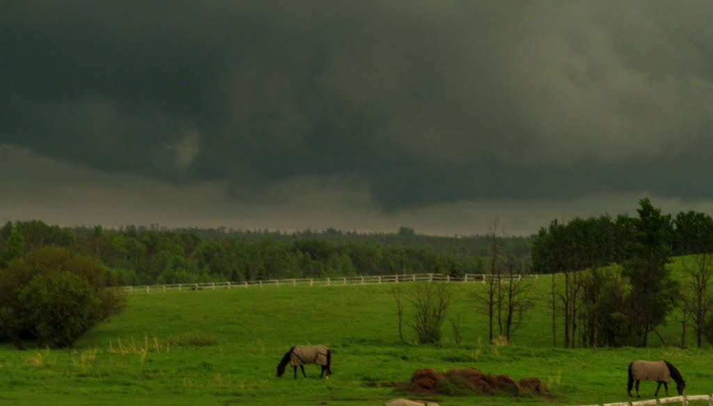 Threatening Skies Over The Prairie East of Edmonton Near Elk Island National Park AB June 7 '13 by David Cure-Hryciuk