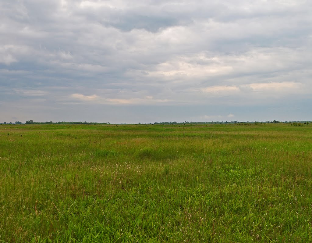 Buena Vista Wildlife Area by Aaron Carlson