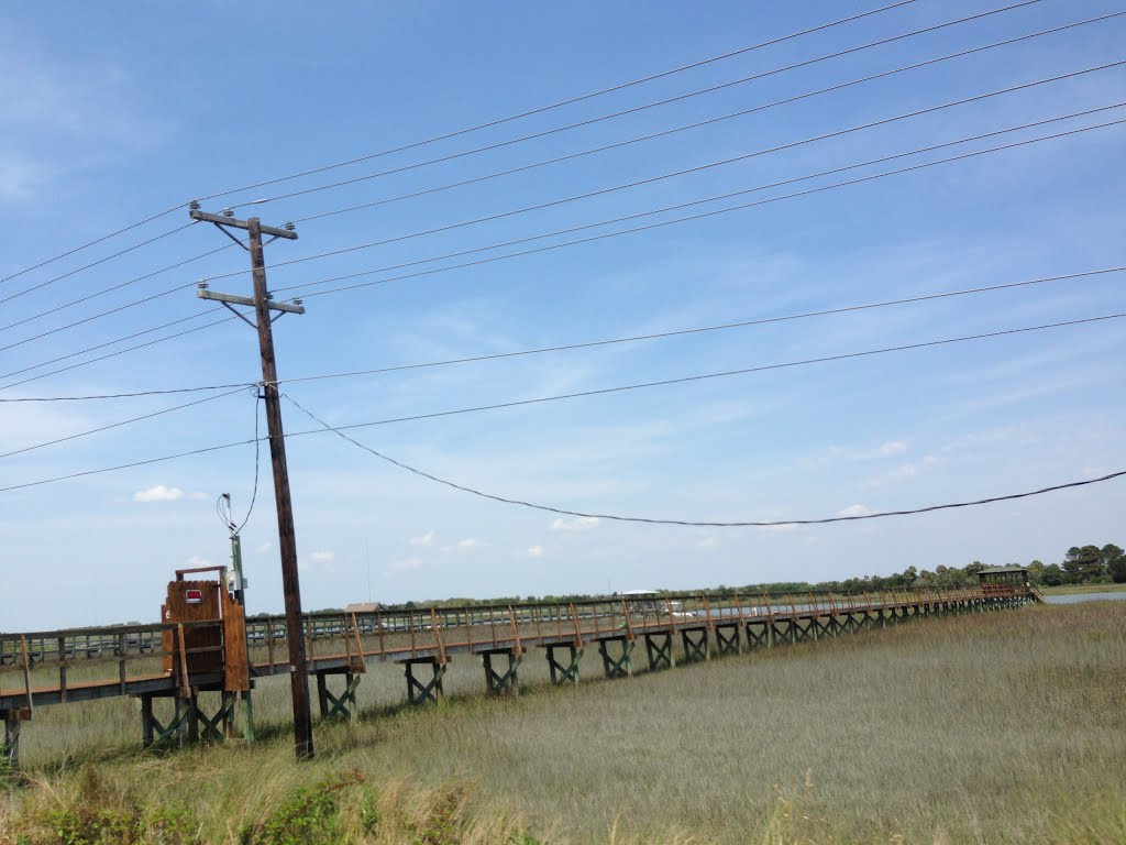 Pier Over the Marsh by Appy&Lucky