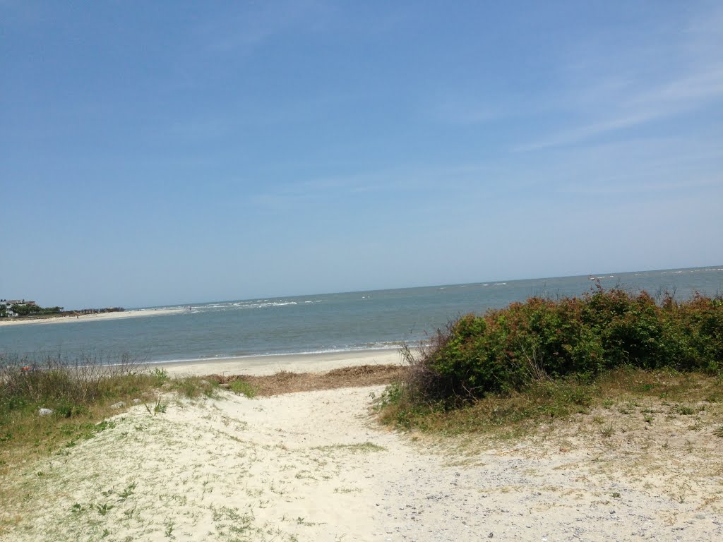 Inlet Between Isle of Palms and Sullivan's Island by Appy&Lucky