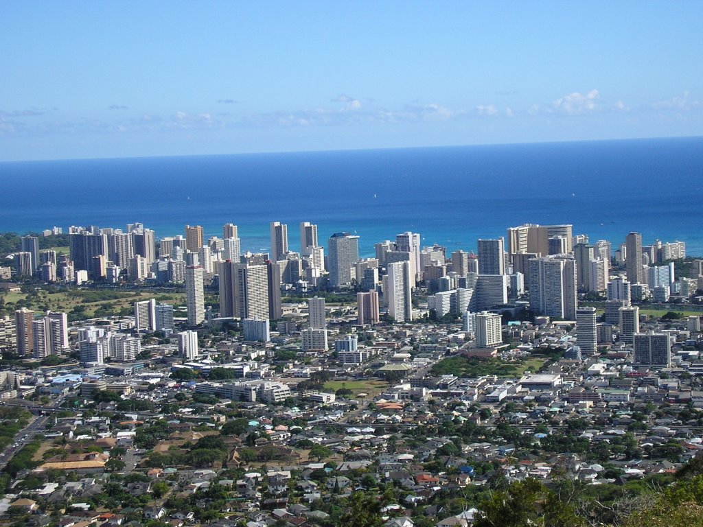 Honolulu by Mikey