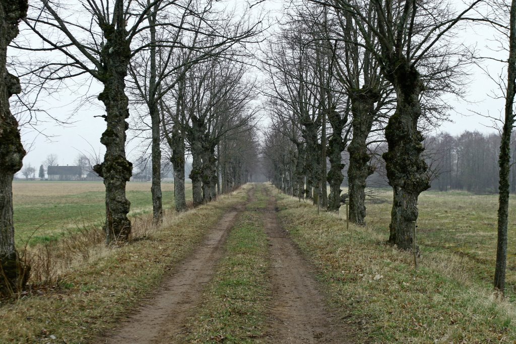 Alley to Luste Palace by Ainars Brūvelis