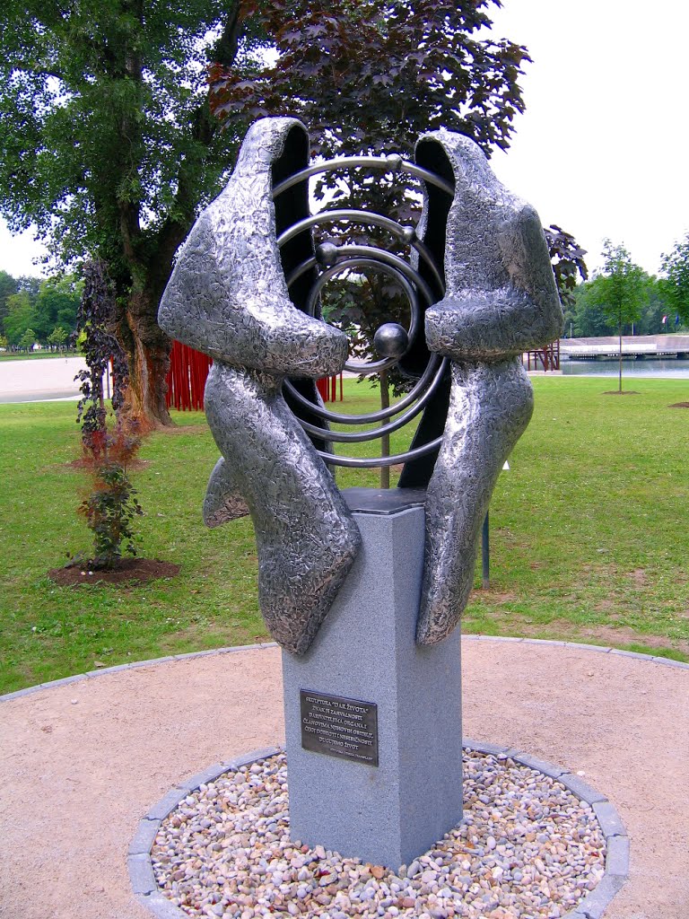 Monument to Organ Donors by Miroslav Komar