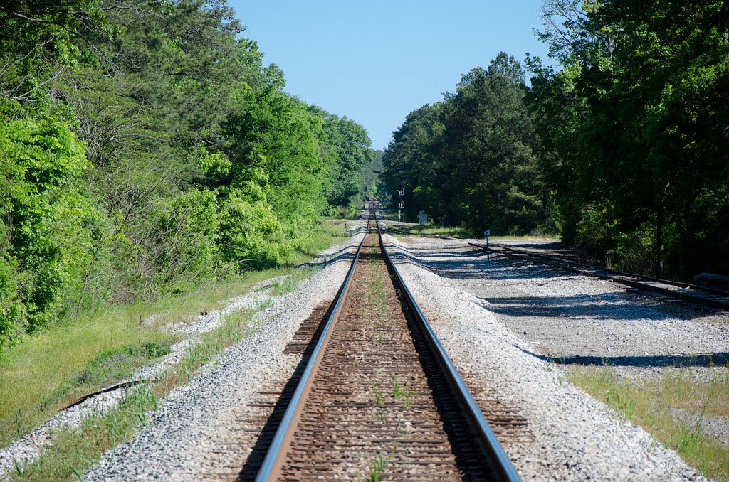 CSX Mainline by wmr36104