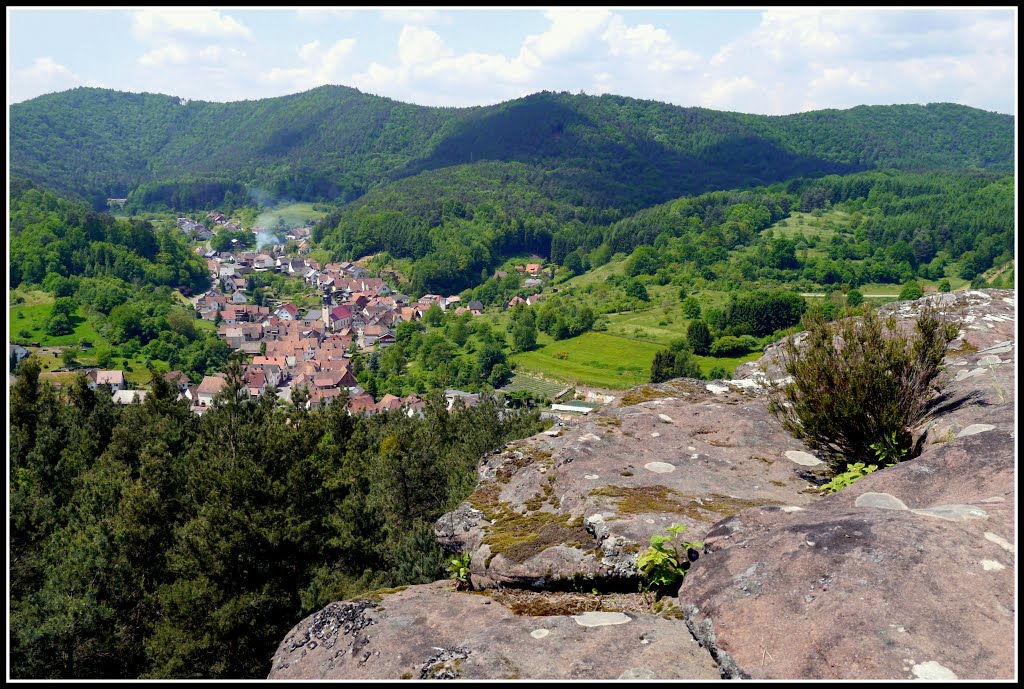 Blick vom Hockerstein hinunter nach Schwanheim by Ali-babaa1001