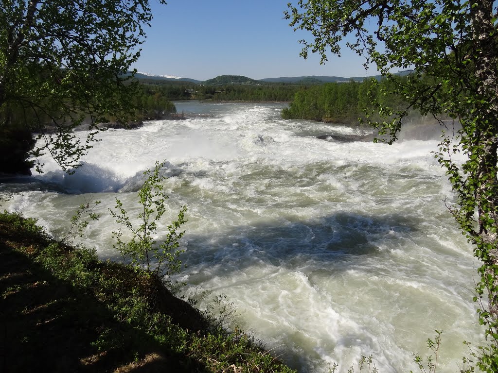 .Lachstreppen, Malselvfossen by alfredb