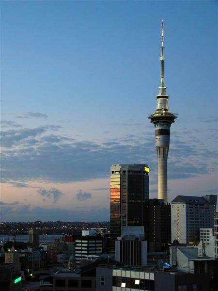 View of SkyTower from Oak by h_ho