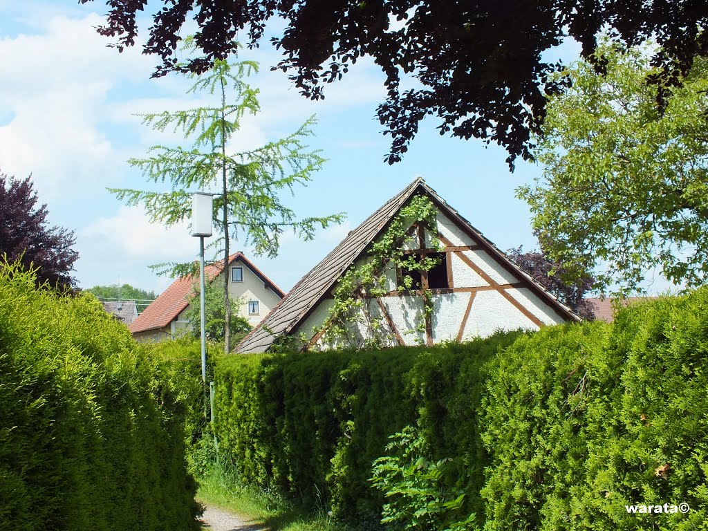 Berkheim > Idylle gesehen am Fußweg vom Kapellenweg zur Heidenbühlstrasse by warata