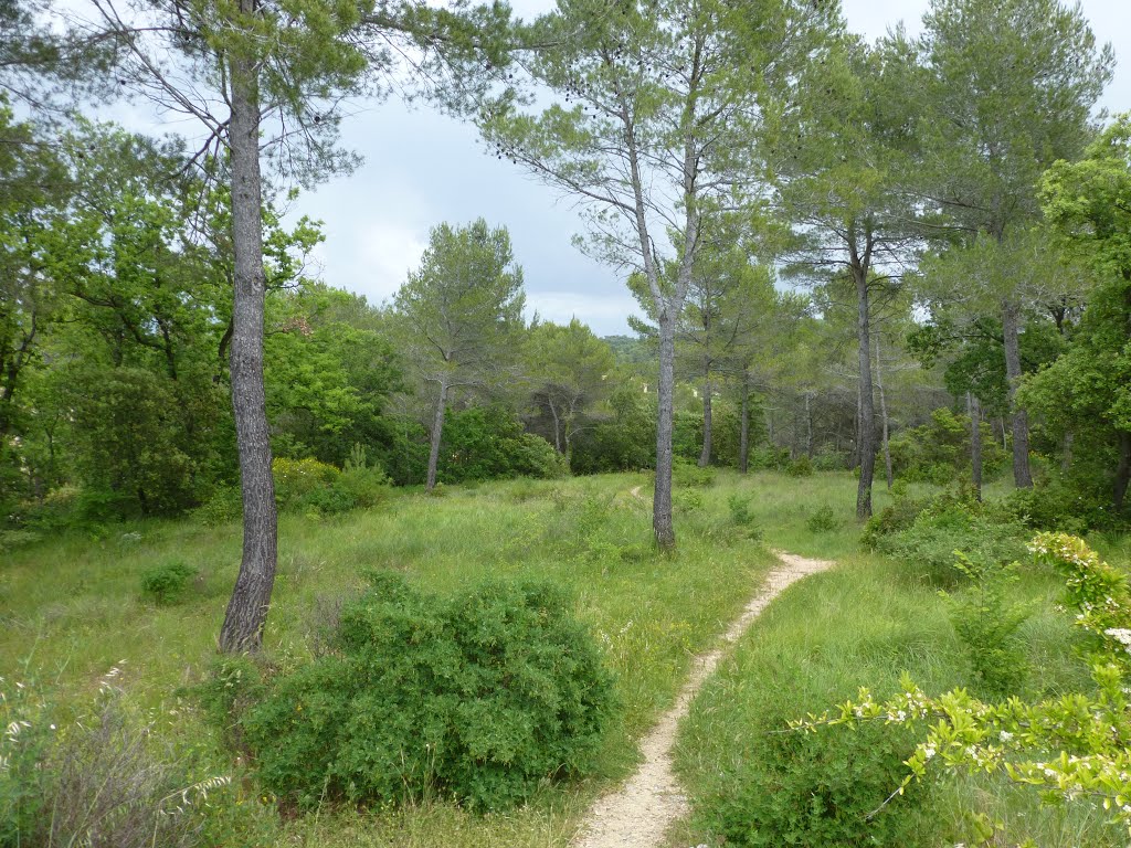 Rognes Hameau des Lavandes by Bonnet Michaël