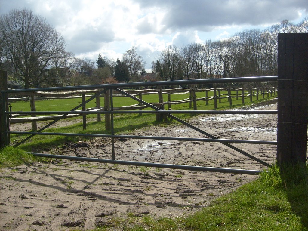 Grasland achter de paardenkamp by tirei