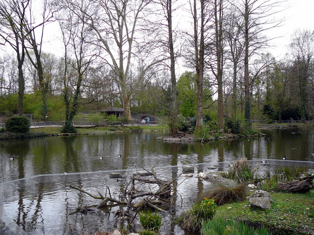 Tierpark Lange Erlen by fotoflix