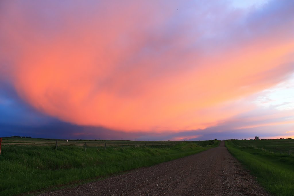 Alberta Rural Road at Sunset by Amandyg