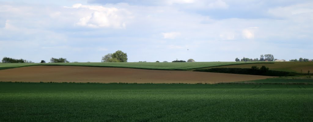 Willebringen (Boutersem) by Geert Budenaerts