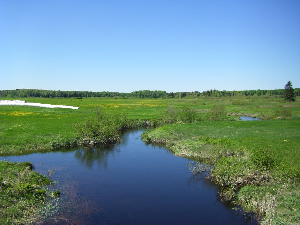 Black Creek by D. Baldwin