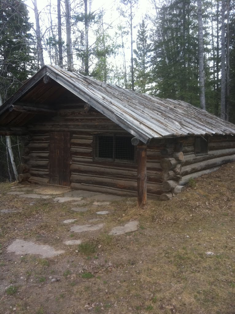 Log Cabin by Greg Simonson