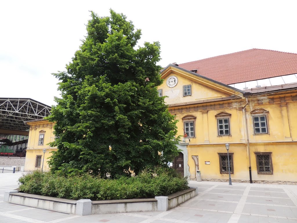 Dvorec RUARDOVA graščina - Jesenice by alukasev