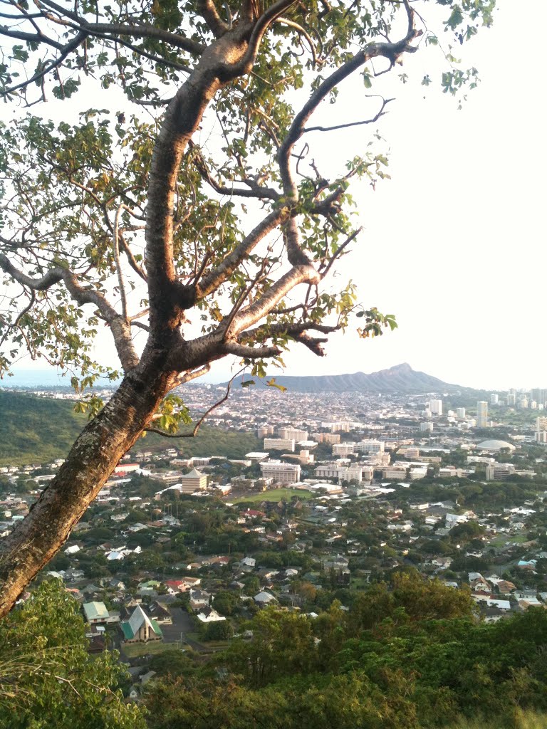 View on Diamond Head, Honolulu by Artur Braun