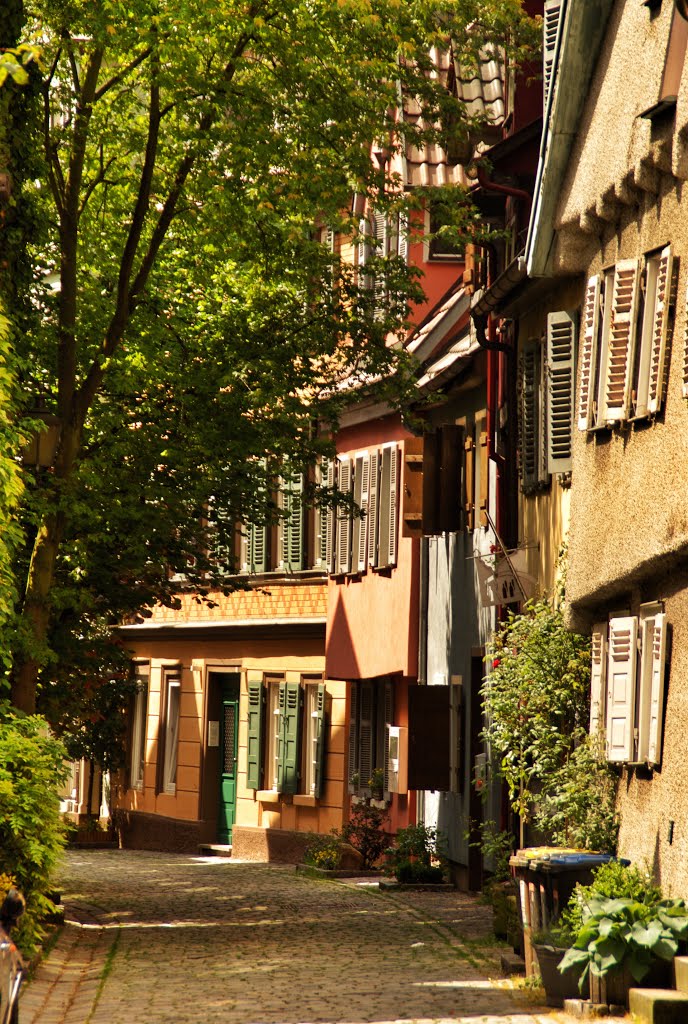 Mittlere Beutau in Esslingen am Neckar by © Konny Wallner