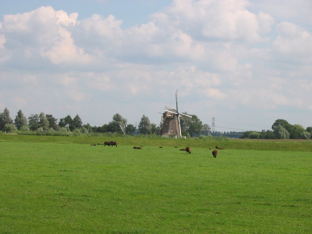 Molen Baambrugge by Rokus Cornelis