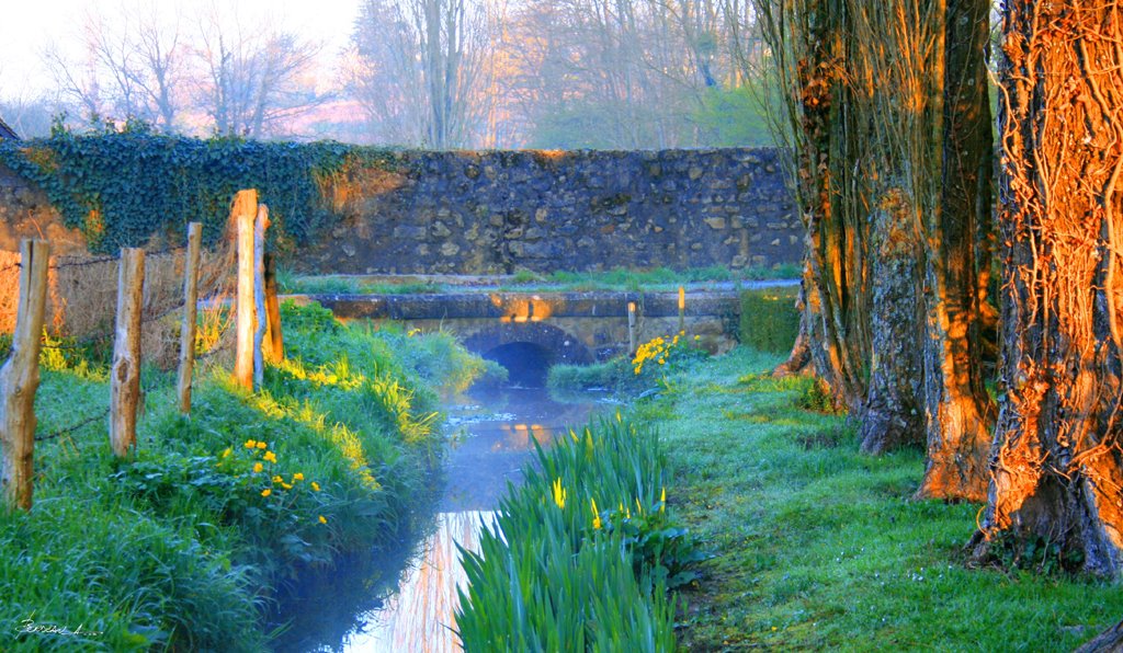 "voile sur un matin printemps"...COULAINES...SARTHE...FRANCE. by BORDEAU Alain.(NO VI…