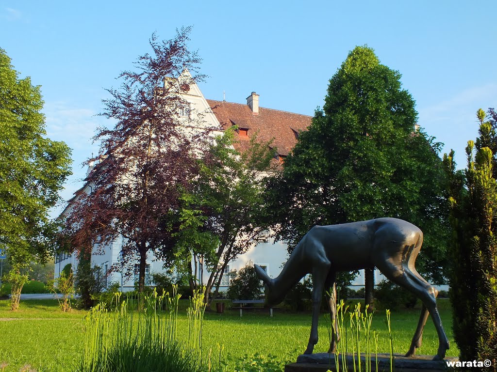 Tannheim (Württ.) > Rehgarten und Schloss by warata