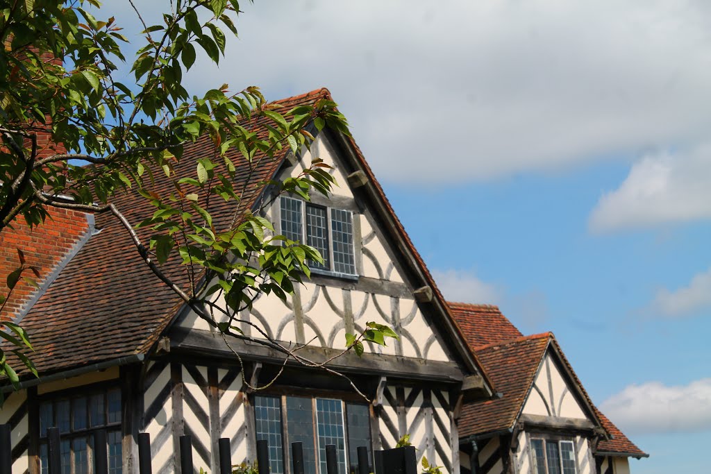 Blakesley Hall by Dickky