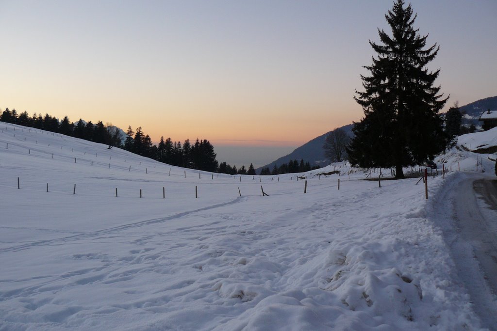 Vue des Ecovets vers la vallée by Charml