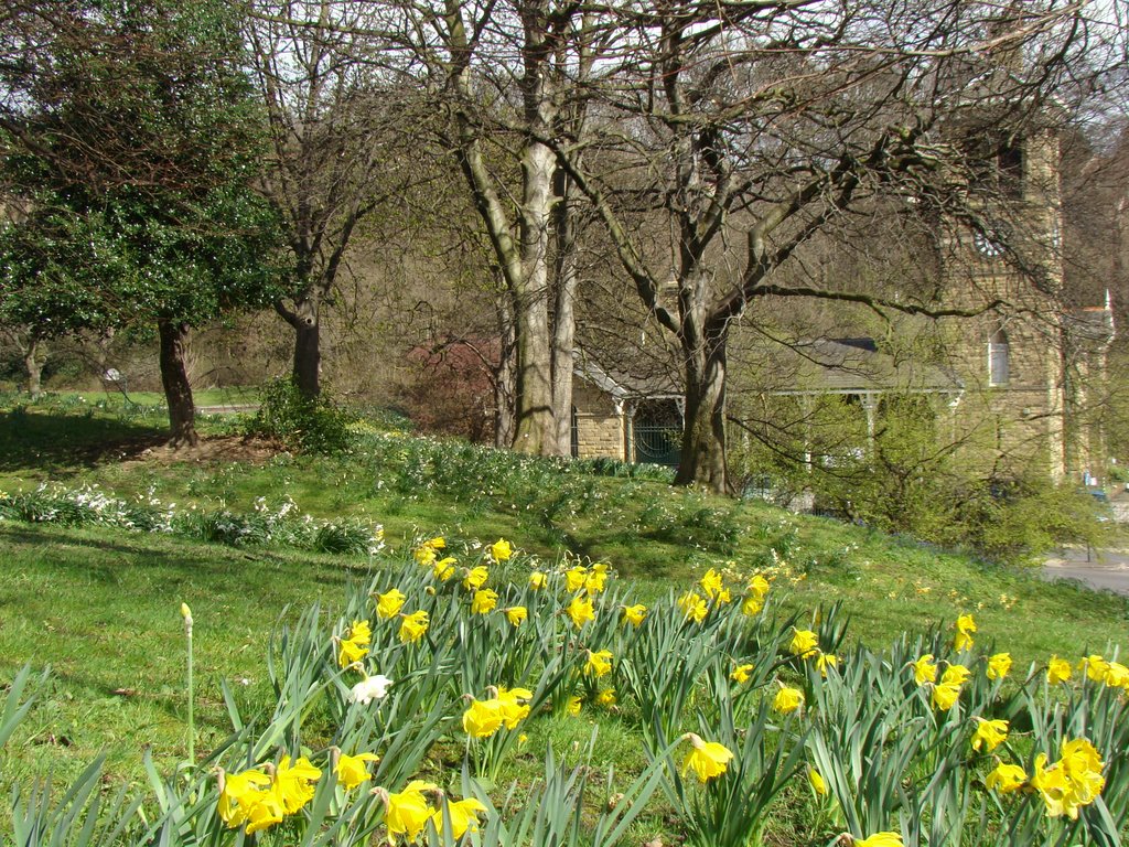 Looking towards the Clock Tower from Firth Park, Sheffield S5 by sixxsix