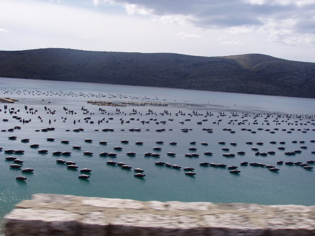 Los nuevos pescadores, Croatia by Epi F.Villanueva