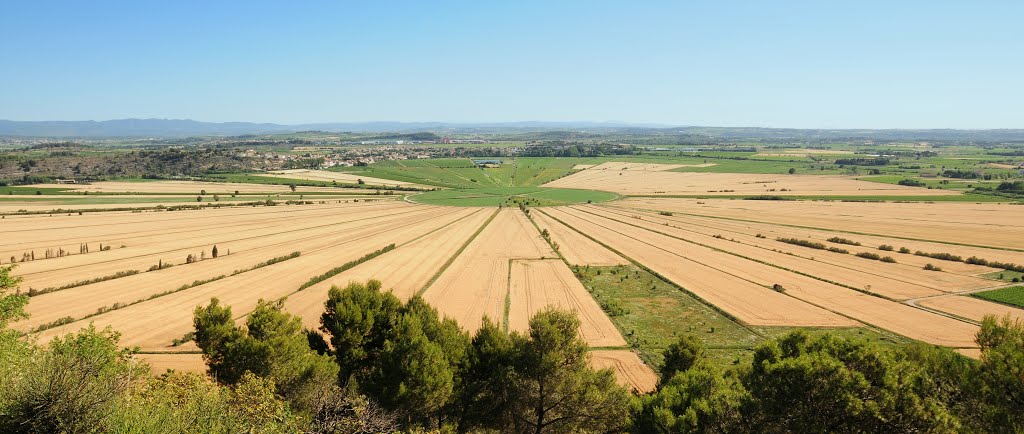 Etang asséché de Montady. (Hérault) by bernard bonnin