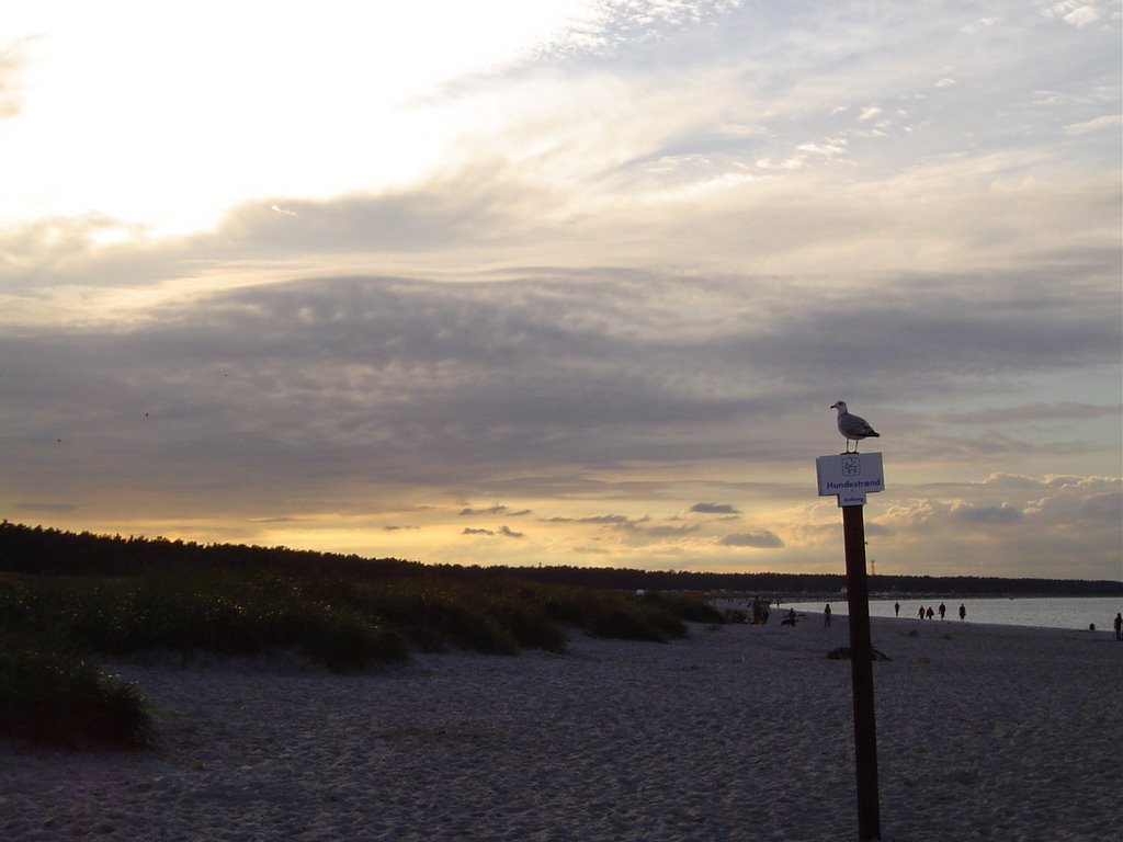 Nordstrand am Abend by G.Thieme