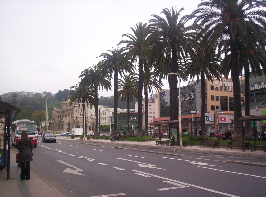 Viña del Mar, Plaza Sucre by Jaime Flores B