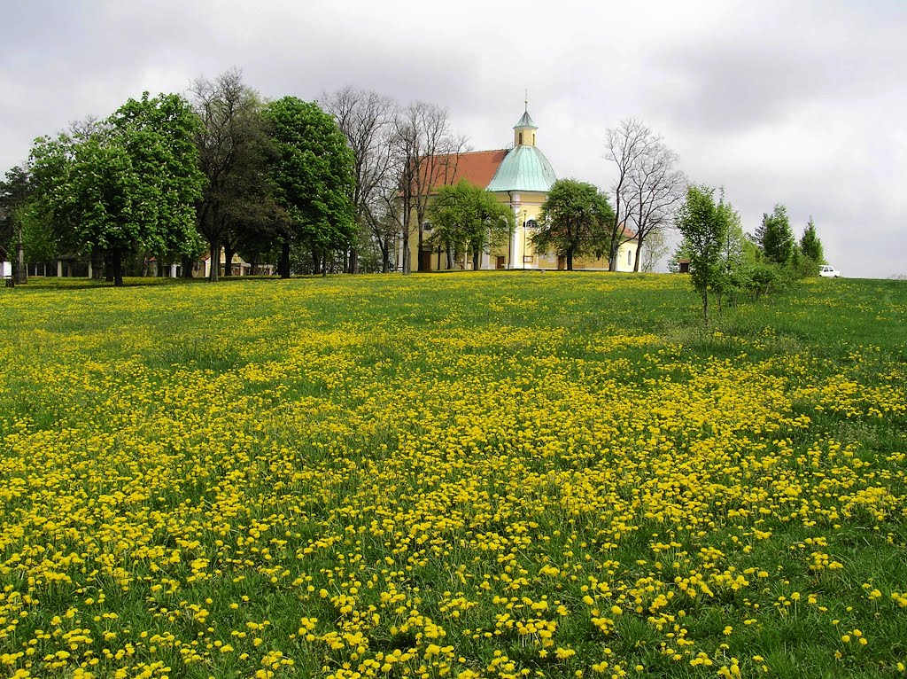 Svatý Antonínek by wallaby