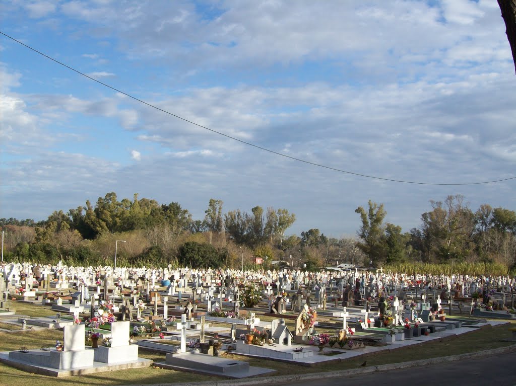 Cementerio de Pilar, Buenos Aires. by carlos julian