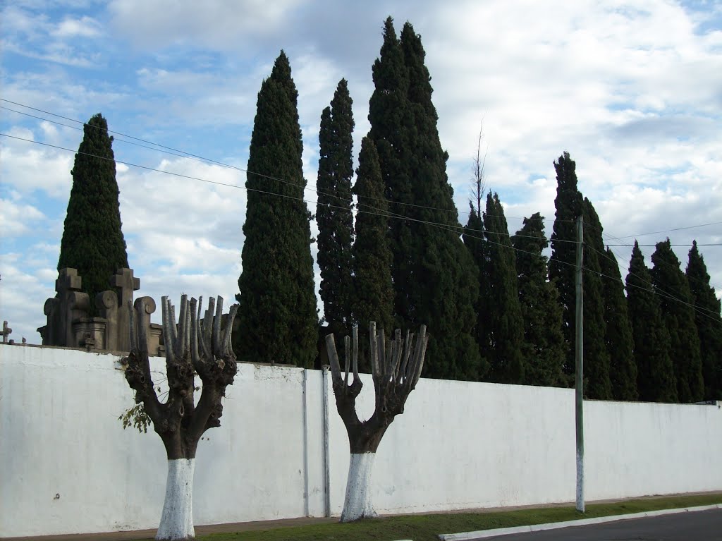 Cementerio de Pilar, Buenos Aires. by carlos julian