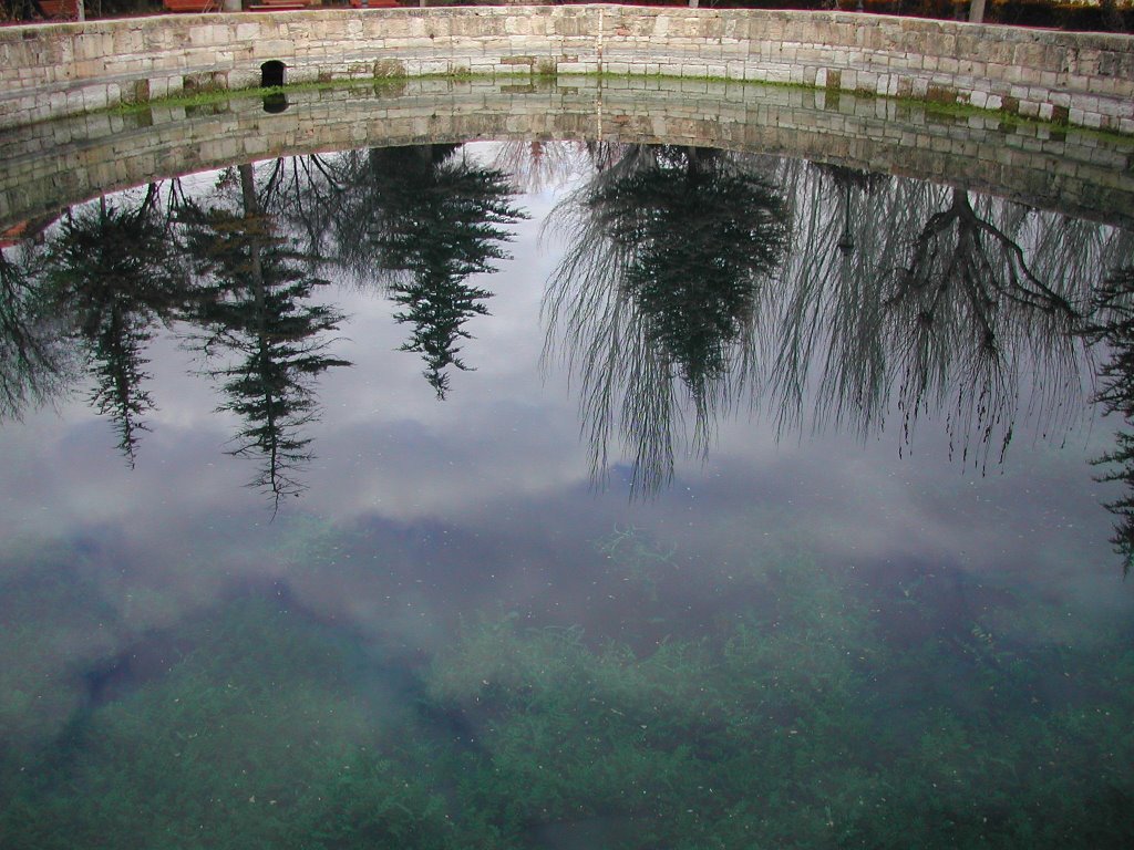 Reflejo en La Fuente de Cella by Jose Erin