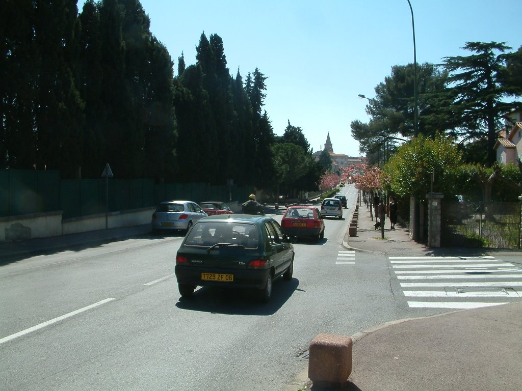 Avenue du 15ème corps by wlabrit