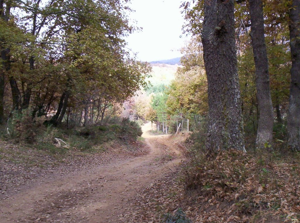 camino Urturi - Marquinez by eki poliki-bizi