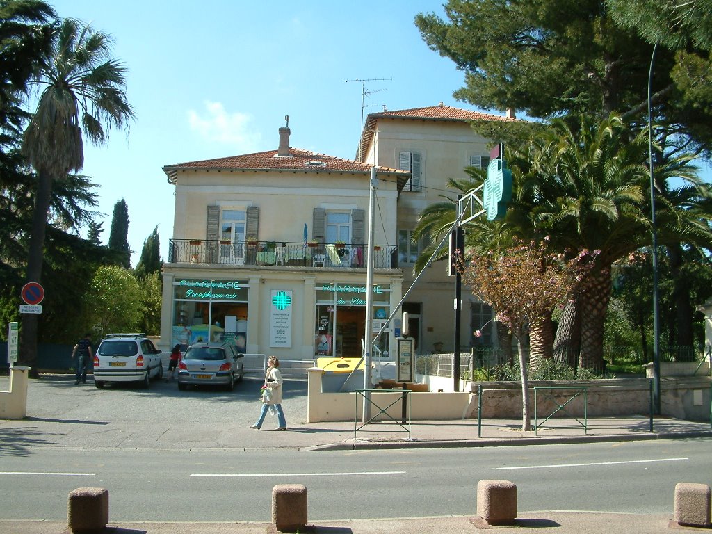 Avenue du 15ème corps by wlabrit