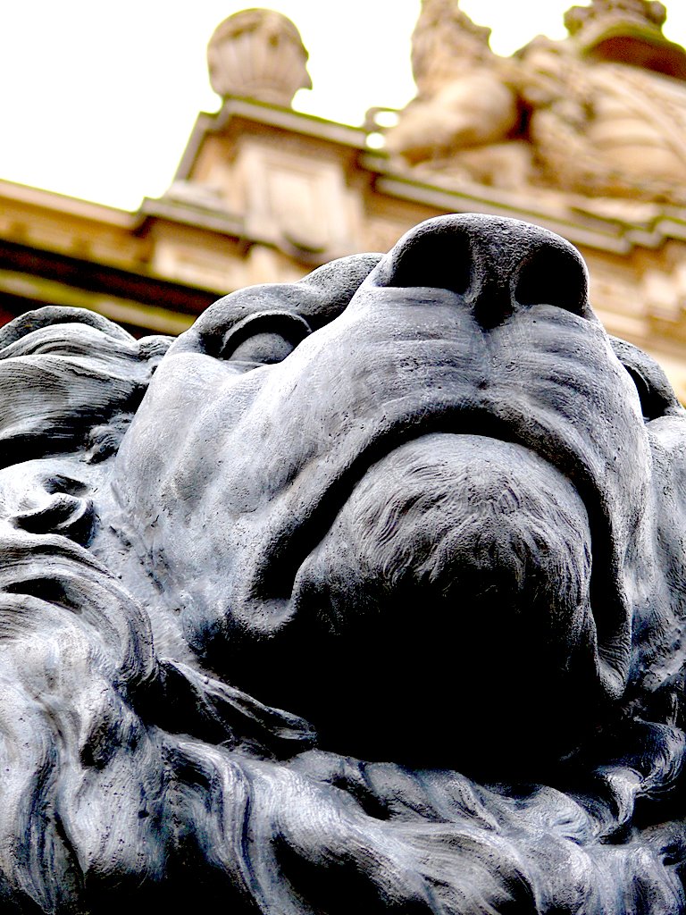 Gotha - Museum der Natur - Löwenfigur am Portal by ingerl-a