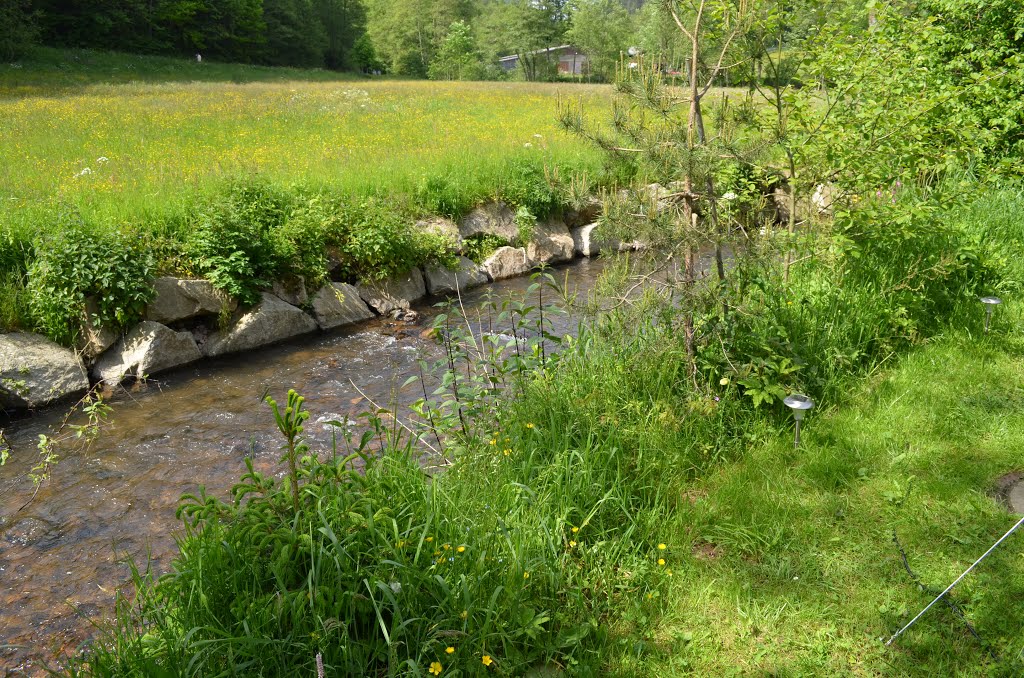 Kinzig river at Camping Alpirsbach by mariosrcmodels