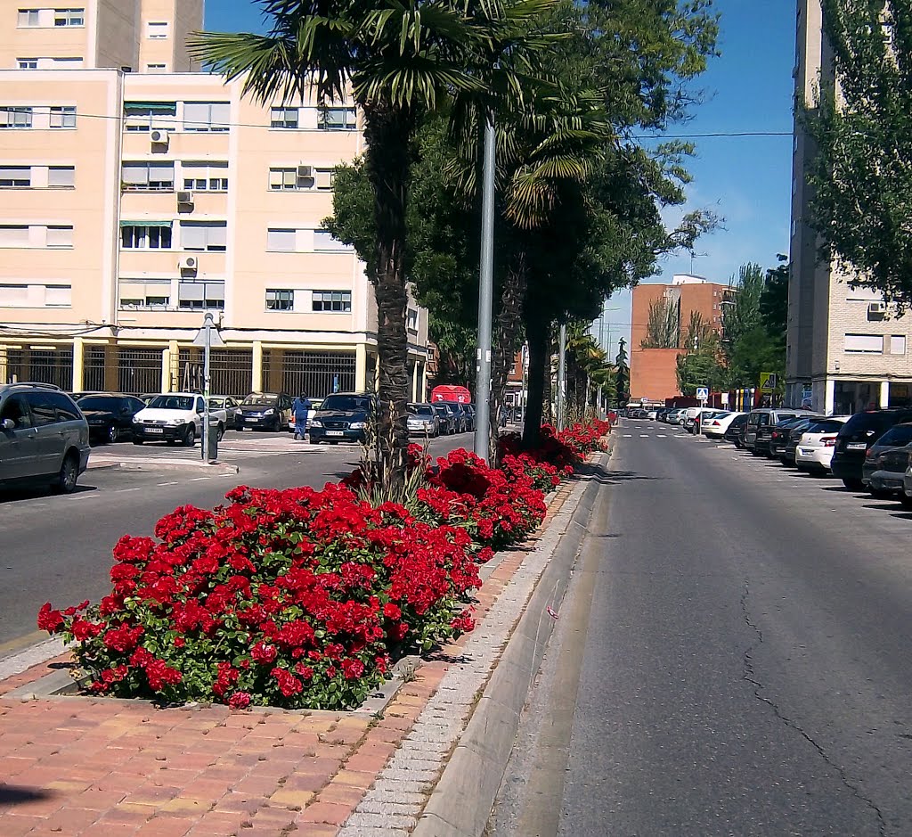 Avenida de los Andes by serfuen