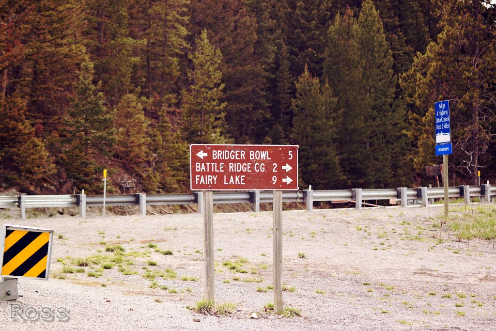 Brackett Creek Bridger Canyon Rd Junction Gallatin National Forest Access by Ross Dean Mitchell .com