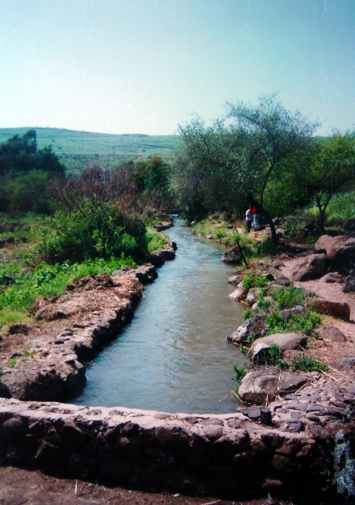 ISRAËL: Jordan Park 1996 ישראל ,פארק הירדן by NellvdBoschLevendig