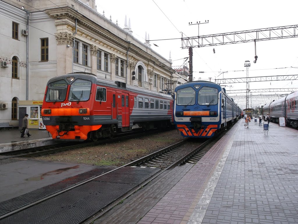 Electrotrains ЭД9М-1044 and ЭД9М-0256 by Nitrogеn Alexander