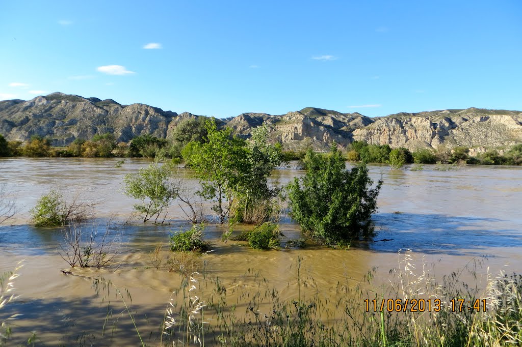 El río Ebro va creciendo. Sobradiel (Zaragoza). Spain. by María Fernando