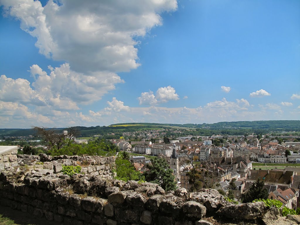 Château-Thierry vue de la Citadelle by Dominique Insenga