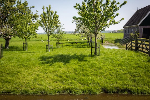 Beemster Polder, The Netherlands by michaelturtle