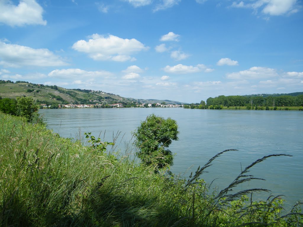 Le Rhône à Vérin (Loire) by Alain38780